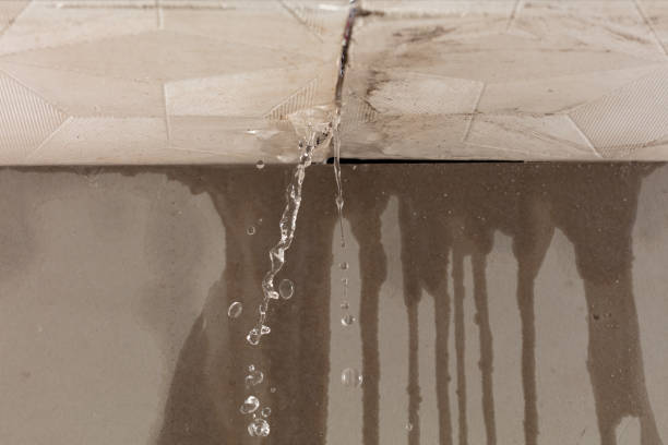 Professional Water Extraction technician working in Long Branch, VA